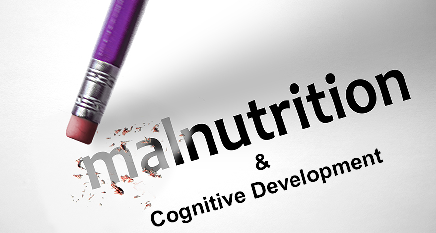The Link Between Malnutrition and Cognitive Development in Children