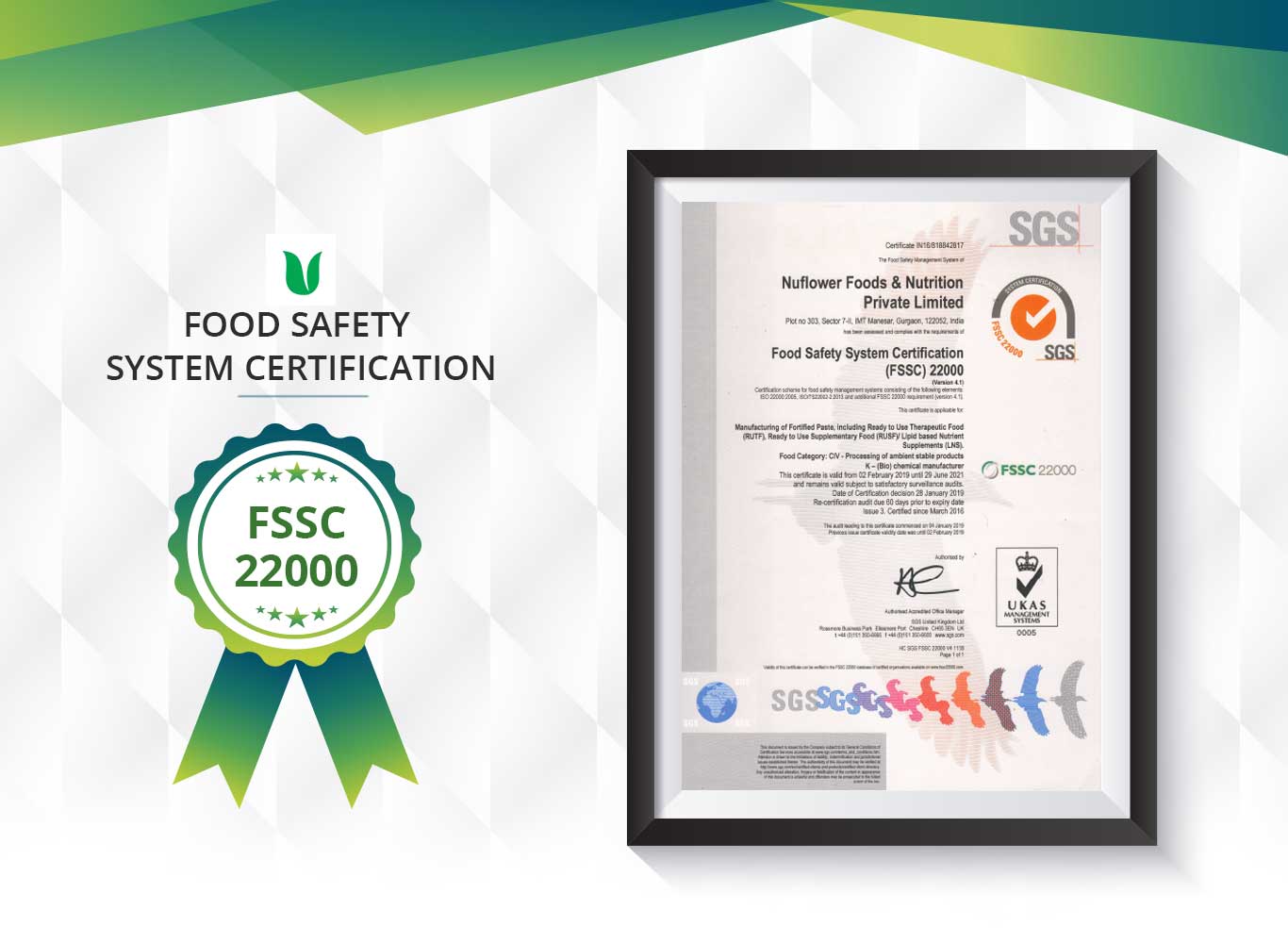 Food for malnutrition in India-nuflowerfoods