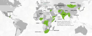 nuflower map
